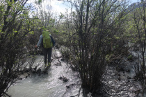 Waldartiger Fluss... so sahen die ganz muehsamen Fluesse aus
