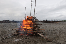 Unser 1.Aug Feuer bestehend aus 32 Tannenbaeumen und vielem Kleinholz
