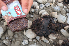 Cliff Bar vs. Baeren-Kot: Praktisch das gleiche...